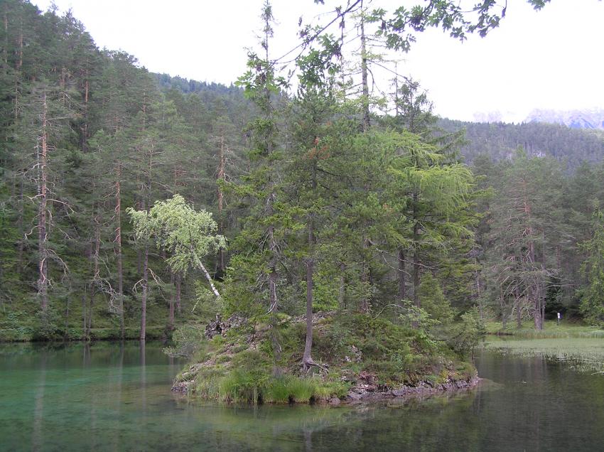 Fernsteinsee, Fernsteinsee / Sameranger See,Österreich