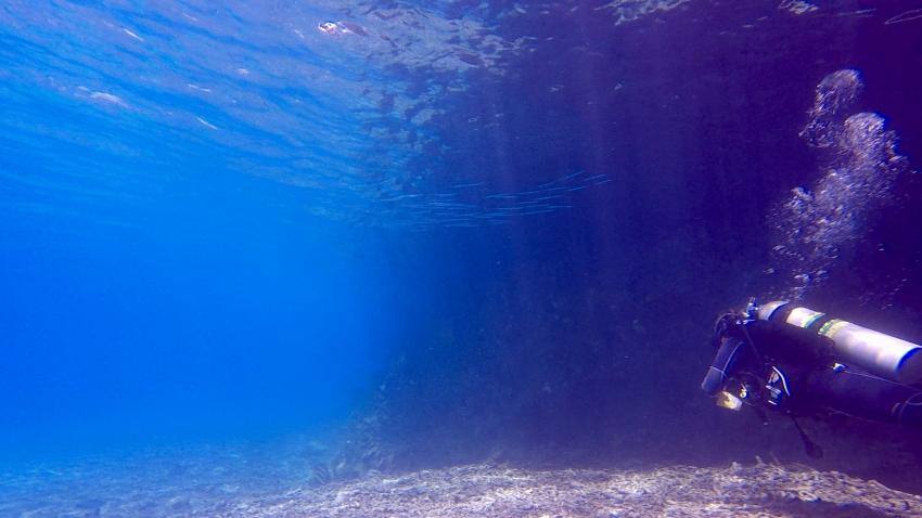 Central Dive Curaçao, Niederländische Antillen, Curaçao