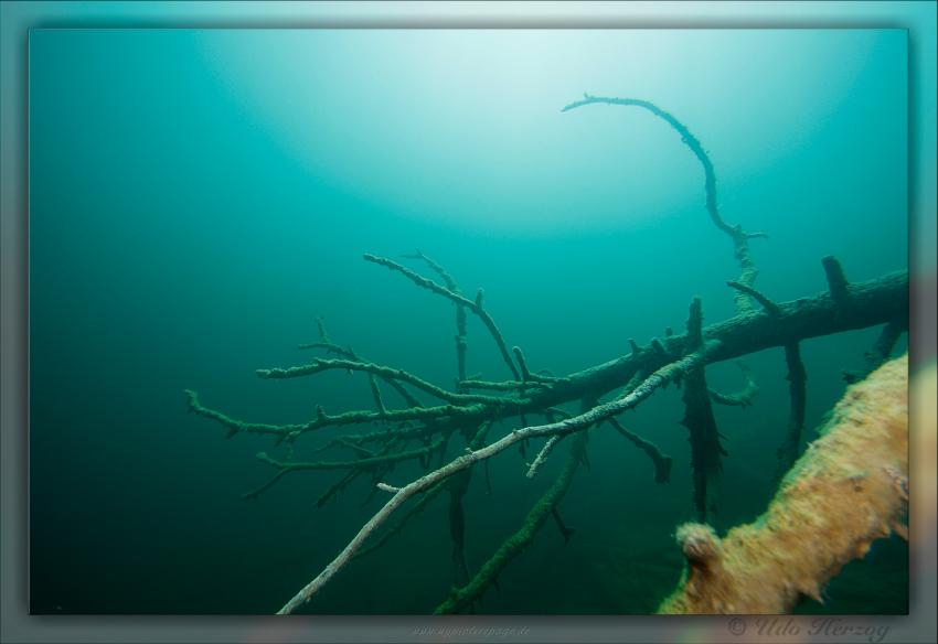 Blindsee - Steilwand, Bäume, Fische, Taucher, Blindsee,Lermoos,Österreich