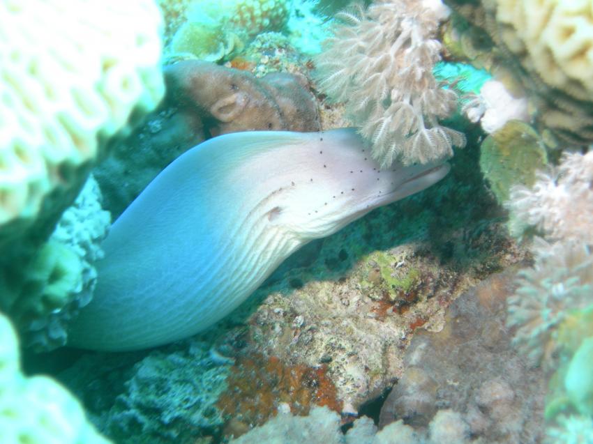 Dahab - Canyon, Canyon (Dahab),Ägypten