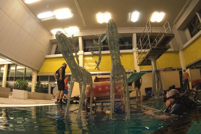 Dive´n Dive Center, Berlin, Deutschland, Berlin