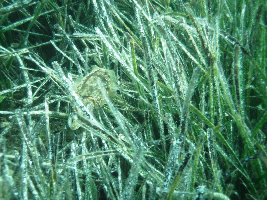 Halkidiki - Athos, Halkidiki - Athos,Griechenland