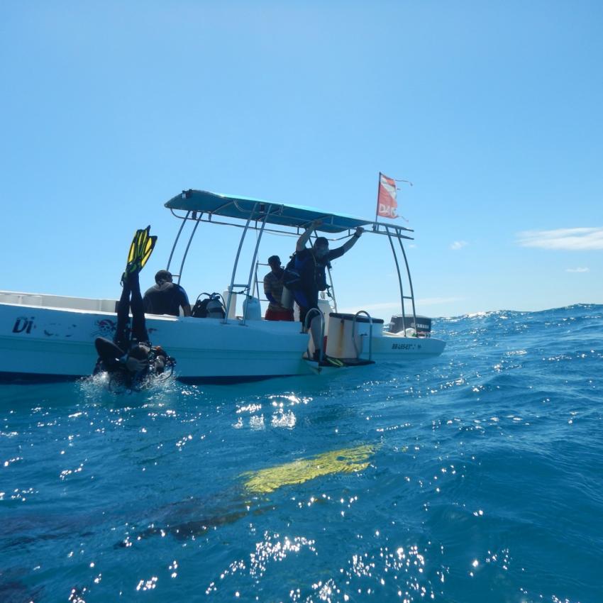 Alles ab ins Wasser , Caribbean Divers, Boca Chica, Dominikanische Republik