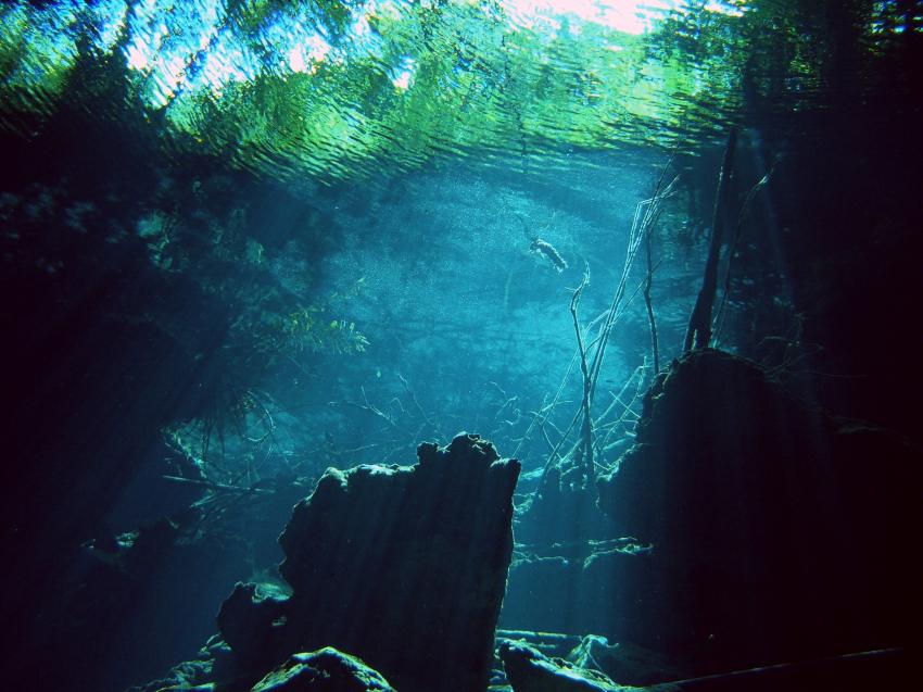 Cenote Adventures, Playa del Carmen