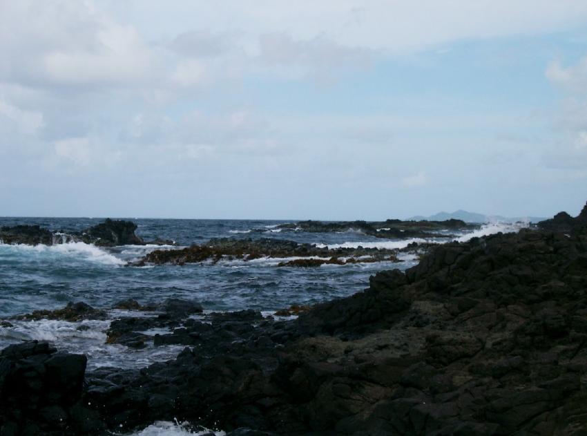 La Baignoire & Anse Noire (Schnorcheln), La Baignoire & Anse Noire,Martinique