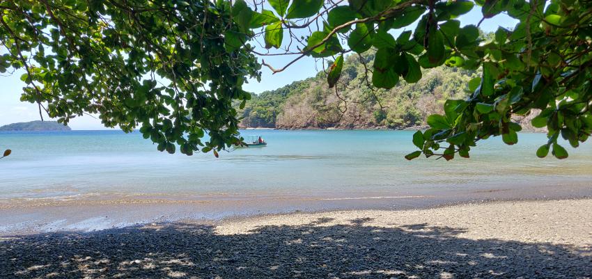 Pause an einem einsamen Strand, The Ark Divers, Pixvae, Panama