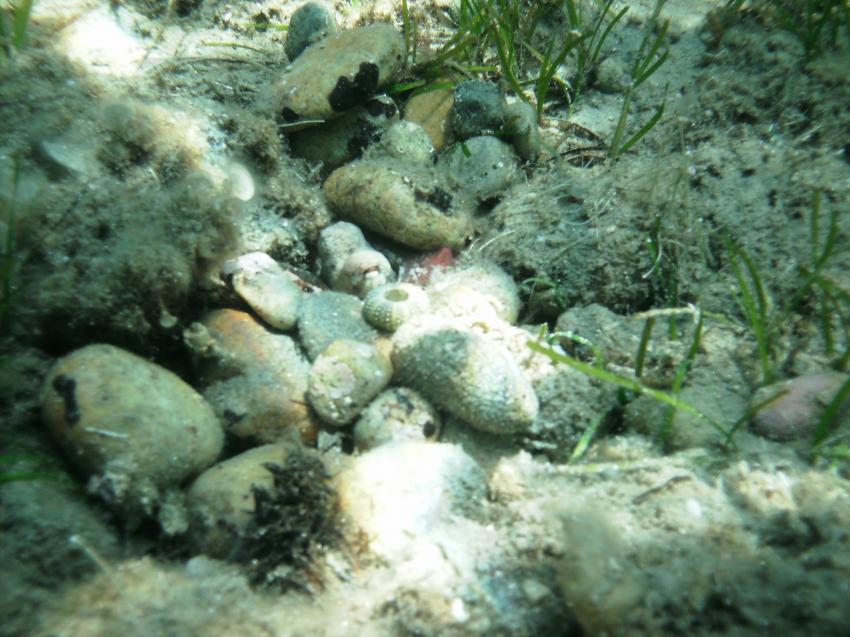 Halkidiki - Athos, Halkidiki - Athos,Griechenland