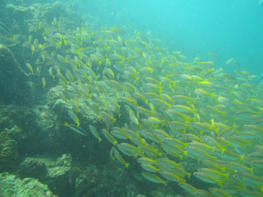 Poseidon Dive Center, Krabi / Ao Nang, Thailand, Andamanensee