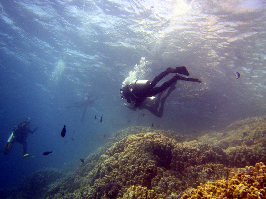 TGI Diving Gorgonia Beach Resort, Marsa Alam, Ägypten, Marsa Alam und südlich