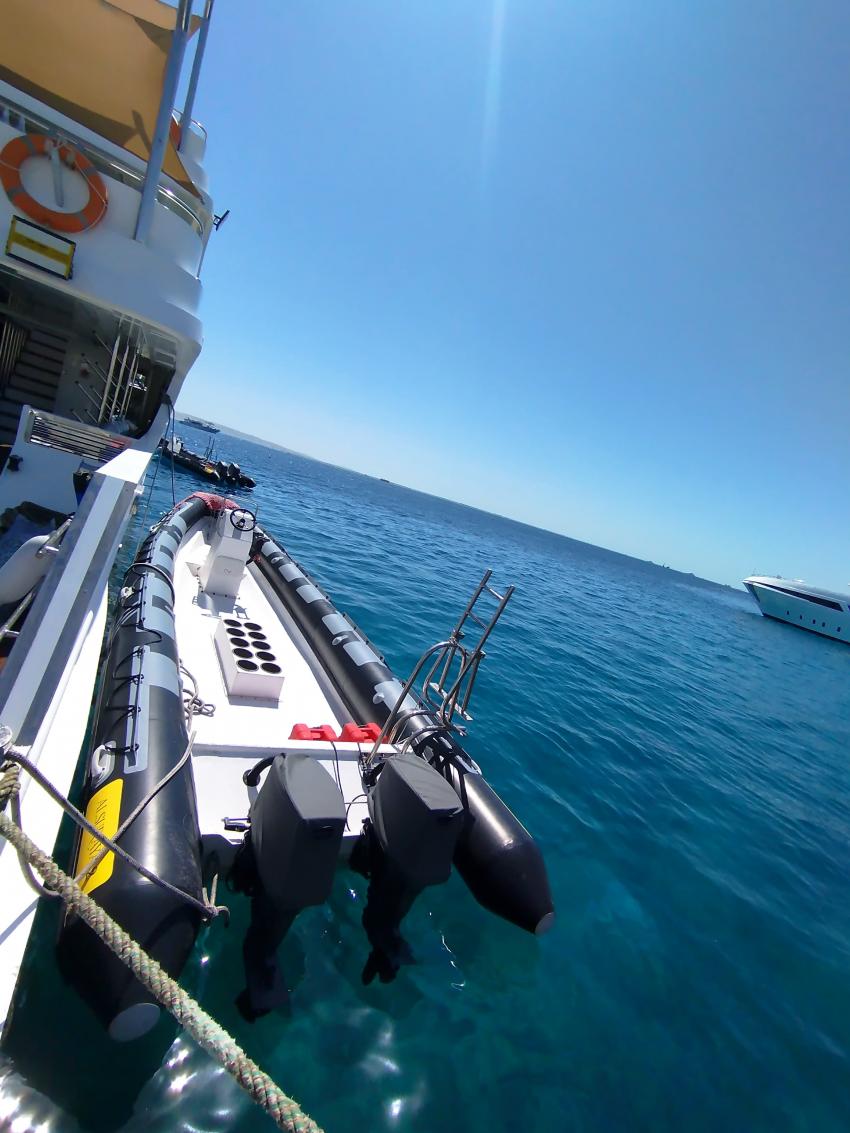 Speedboot, Alsuraya Liveaboard, Ägypten, Hurghada