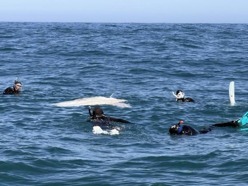 Expert-Tours , Südafrika und die Welt!, Südafrika