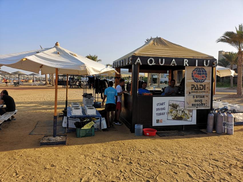 Aquarius Red Sea 09/2019, Aquarius Diving Club, Grand Makadi, Ägypten, Safaga