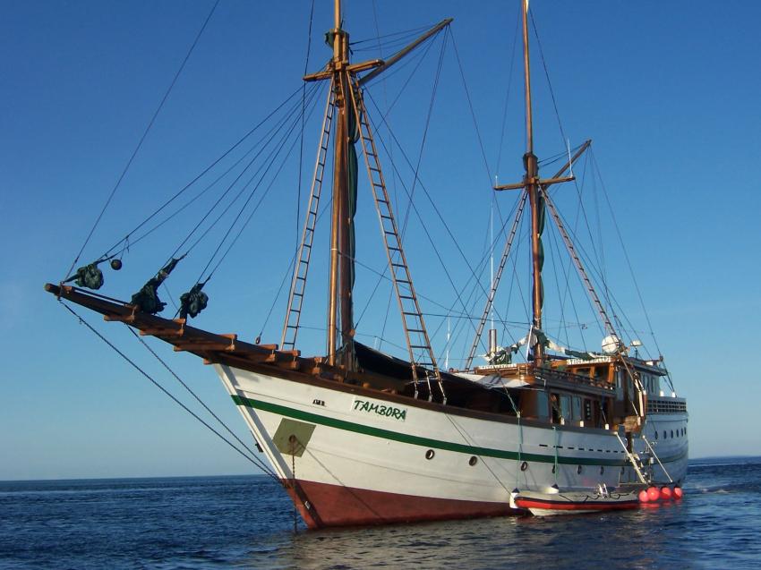 Segelschiff Tambora