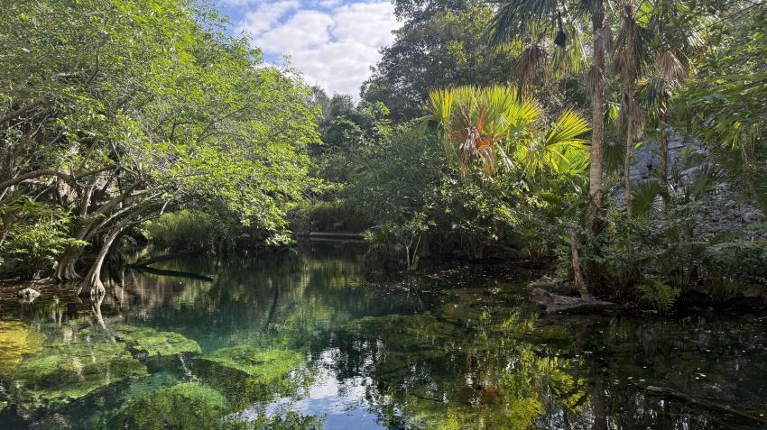 Chac Mool, Planet Scuba Mexico, Mexiko