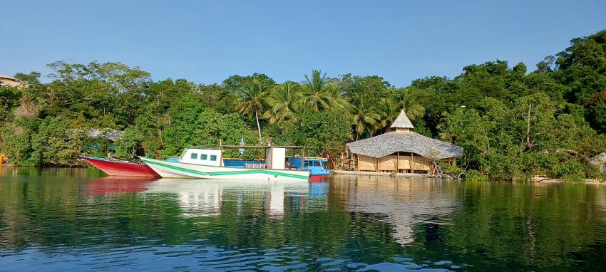Dive boat , Dive Halmahera, Proco Island Bambu Resort, Indonesien, Allgemein