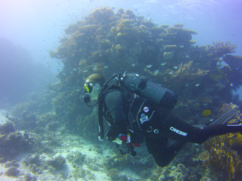 Dive Connection, El Gouna, Ägypten, Hurghada