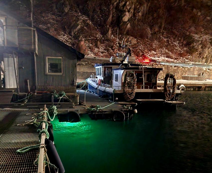 Die Basis am Abend – Ausgangspunkt für Nachttauchgänge im Rosfjord, Nachttauchen Norwegen, Lyngdal, Rosfjord, Dive & Stay Norway, Dive & Stay Norway – Lyngdal Dykkesenter, Norwegen