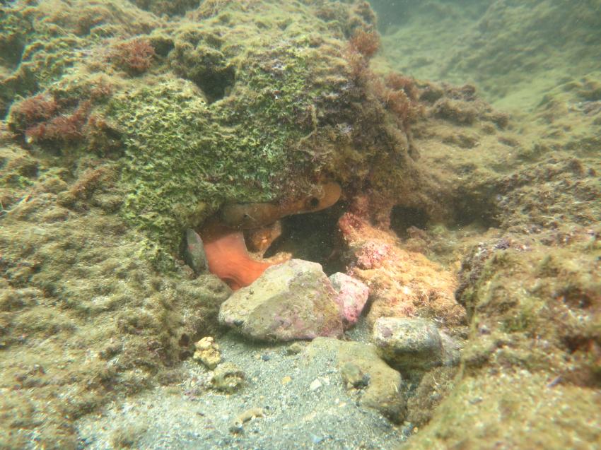 Kalypso Dive Center & School, Griechenland