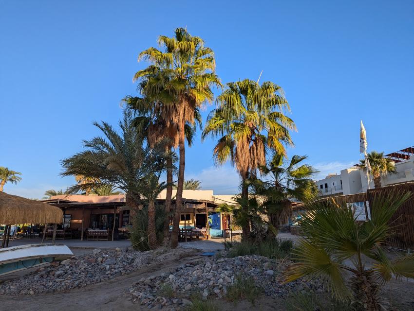 Tauchen Ägypten Volkert Dive Center Tauchschule Tauchbasis, Tauchen Ägypten Safaga Volkert Dive Center, Safaga Paradise Divers, Ägypten, Safaga