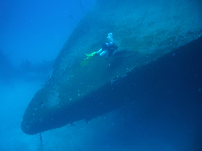 Tarpun, Hilma Hooker,Bonaire,Niederländische Antillen