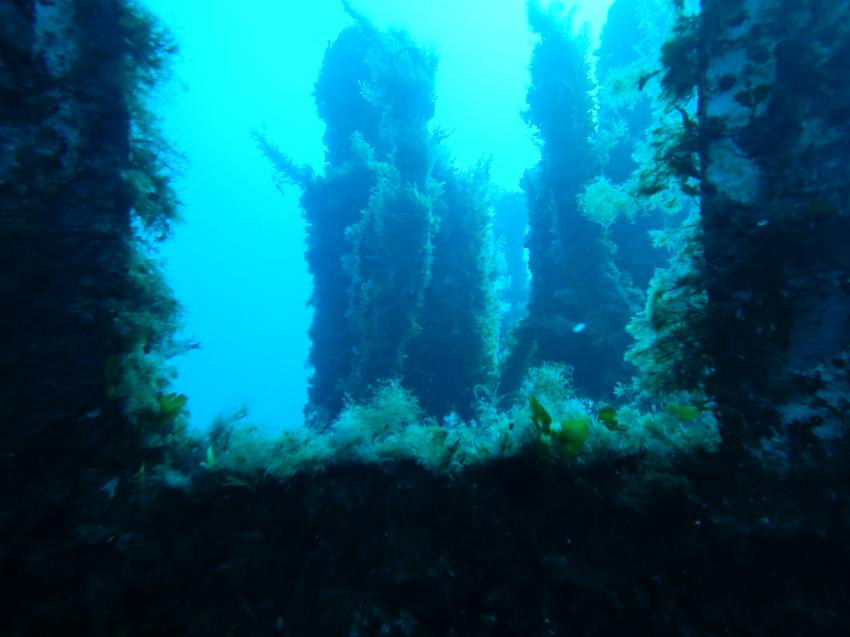 Super Wrack, Dive Vision Malta, Labranda Riviera Hotel, Malta, Malta - Hauptinsel