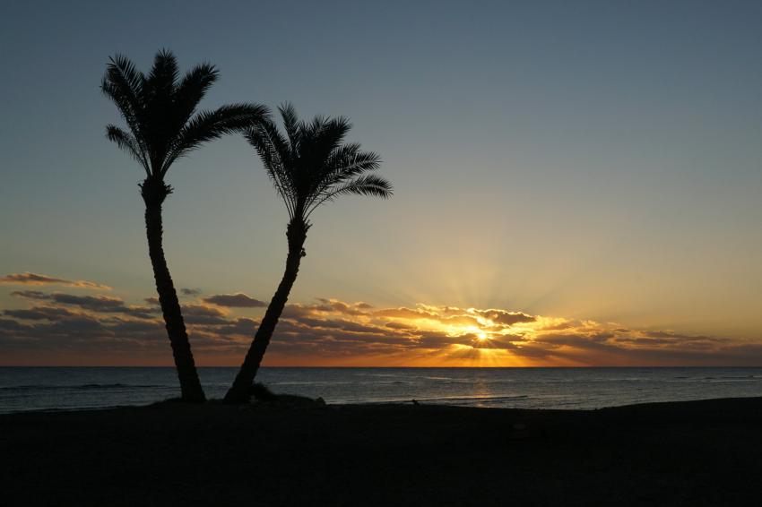 Sonnenaufgang vor der Basis, diving.DE Abu Dabab, El Malikia Resort, Ägypten, Marsa Alam und südlich