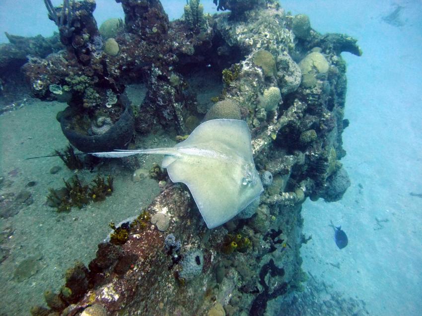 Cane Bay Dive Shop, St. Croix, Amerikanische Jungferninseln