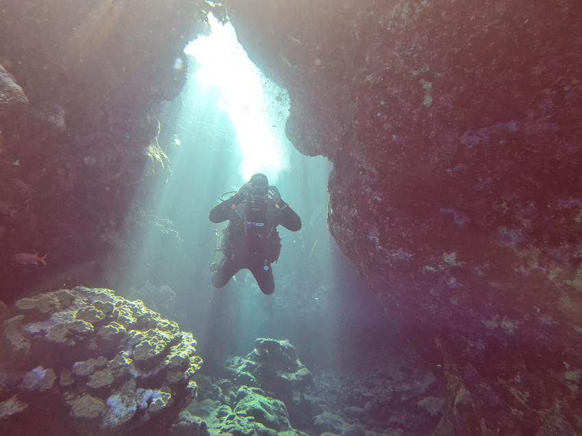 Inside the Reef, diving.DE Abu Dabab, El Malikia Resort, Ägypten, Marsa Alam und südlich