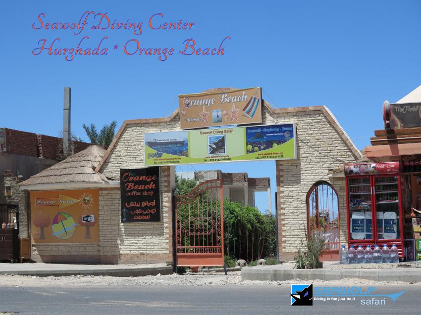 Seawolf Diving Center Hurghada, Seawolf, Dominator, Safari, Sudan, Safariboot, Tauchen, M/Y Seawolf Dominator, Ägypten