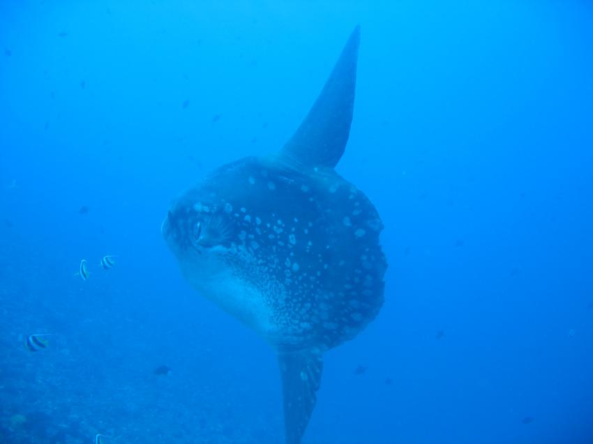 Bali Padang Bai, Padang Bai,Bali,Indonesien