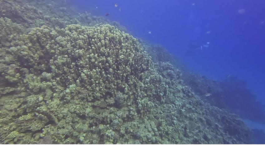 Marsa Shagra Ecolodge, Marsa Alam, Ägypten, Marsa Alam und südlich