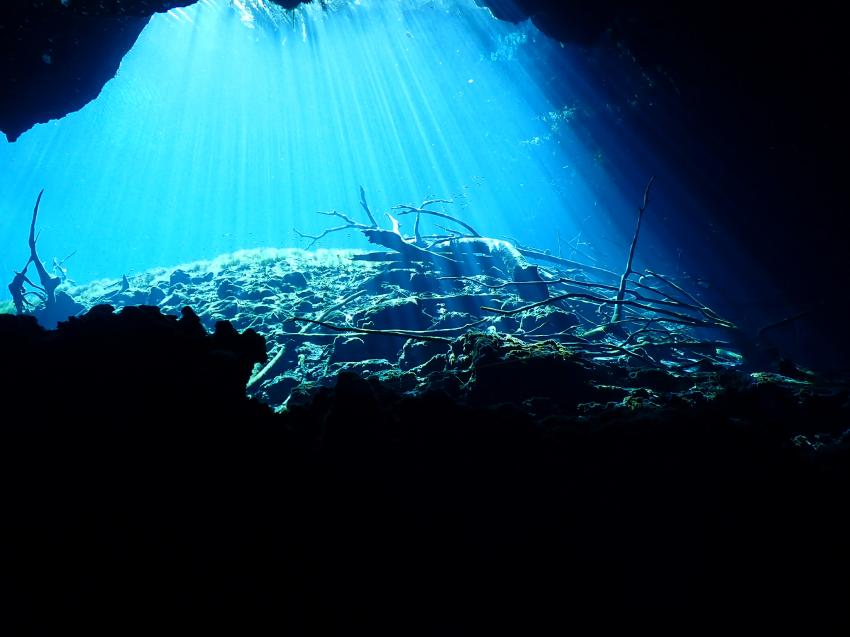 Diving Caves, Playa del Carmen, Mexiko