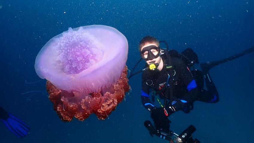 DivePoint Guraidhoo, Malediven