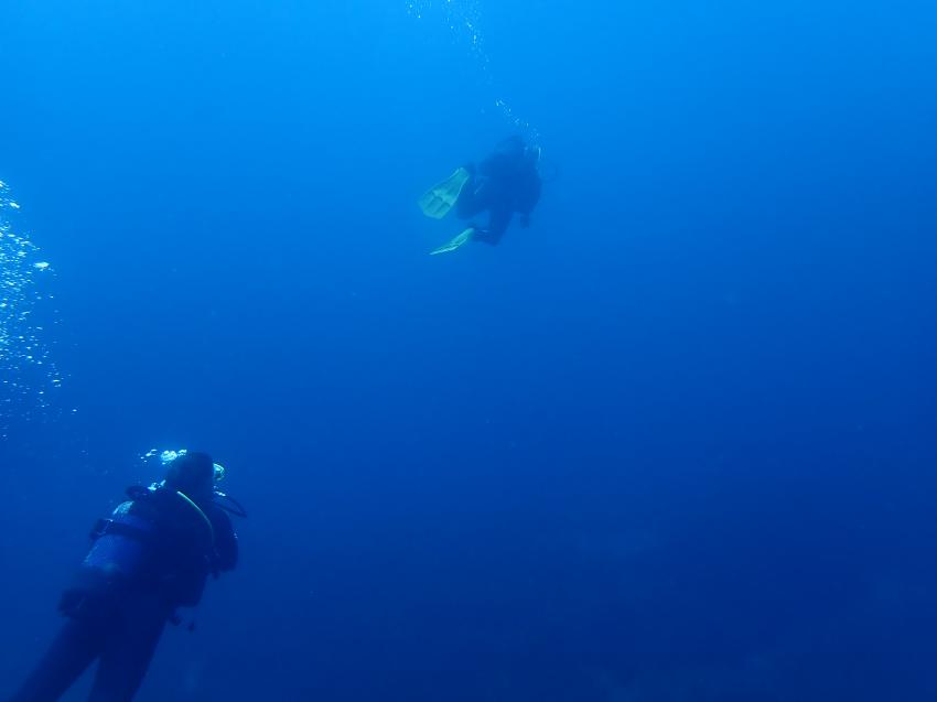 Dolphin Diving Center, Kalamitsi, Griechenland