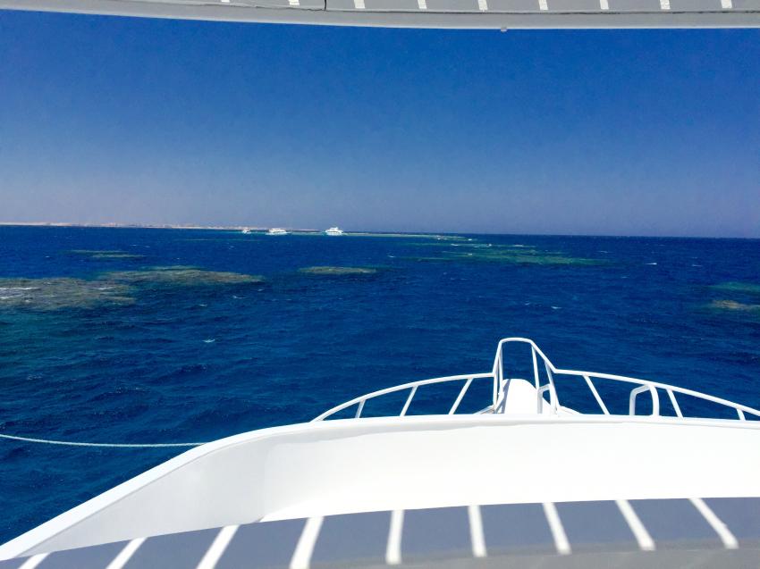 Tauchen Ägypten auf der Volkert 1 Tauchboot, Tauchen Ägypten Tauchboot Volkert 1, Volkert Touristik, Ägypten