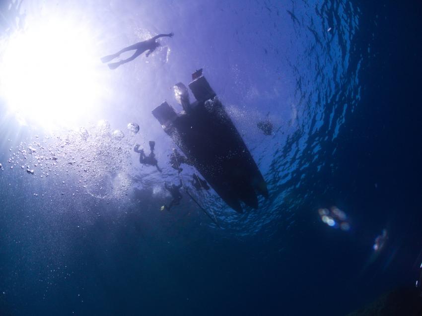 Mallorca Diving Adventure, Puerto de Andratx, Spanien, Balearen