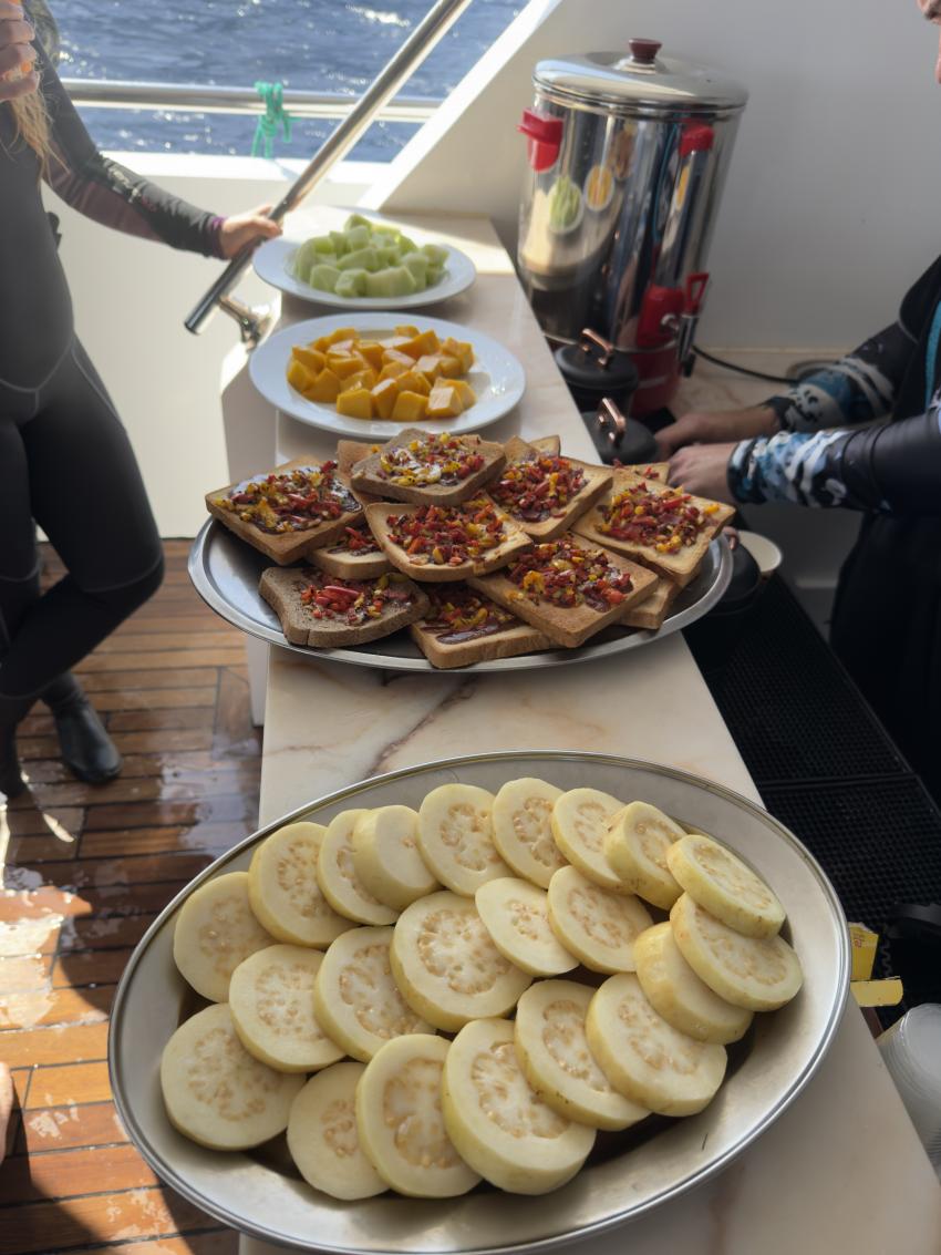 Diving Forever - Deutsche Tauchschule in Hurghada, Ägypten, Hurghada