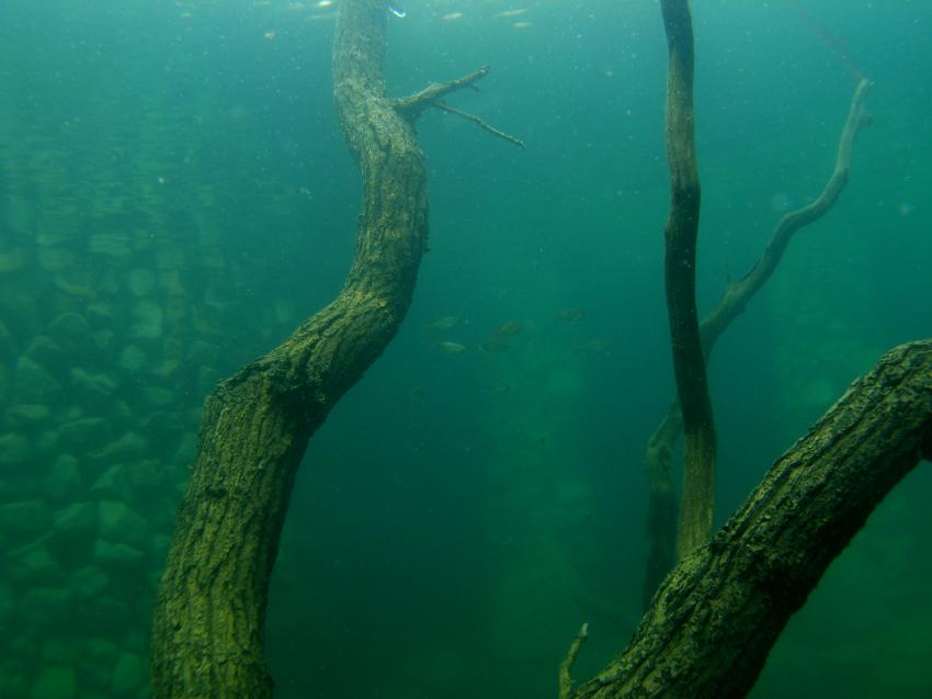 Ibbenbüren, Ibbenbüren,Unterwasserpark,Nordrhein-Westfalen,Deutschland