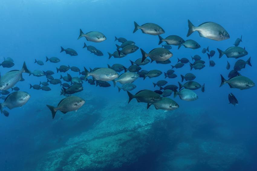 Water & Wind, Portugal, Azoren