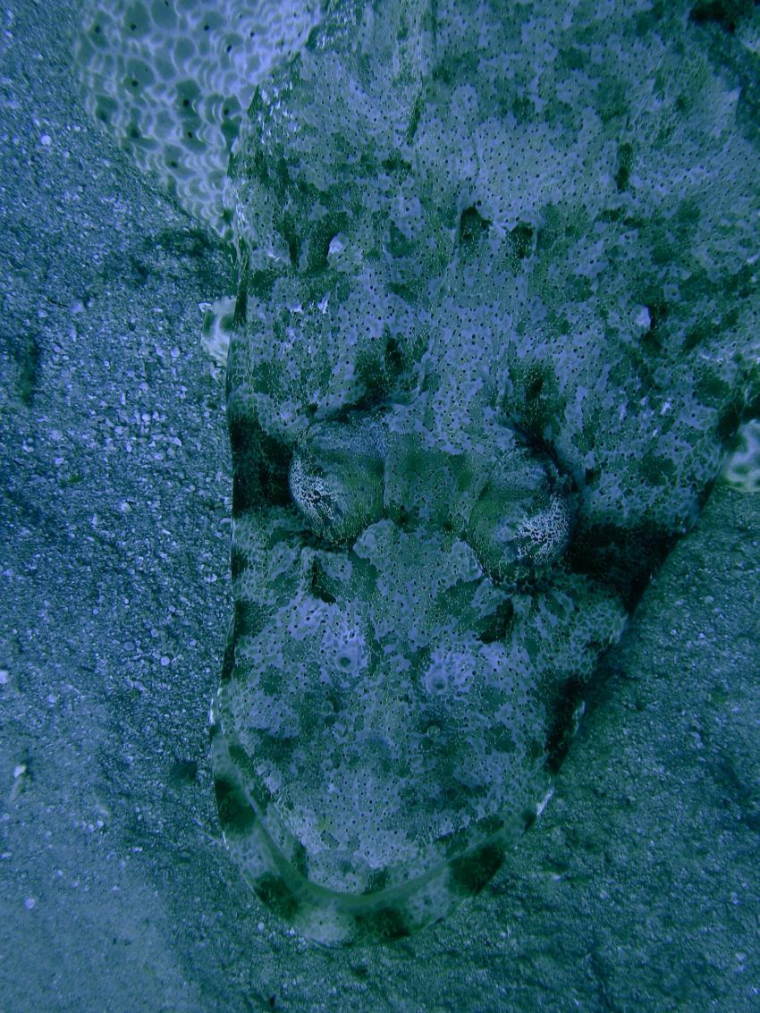 Brayka Bay, Brayka Bay,Ägypten