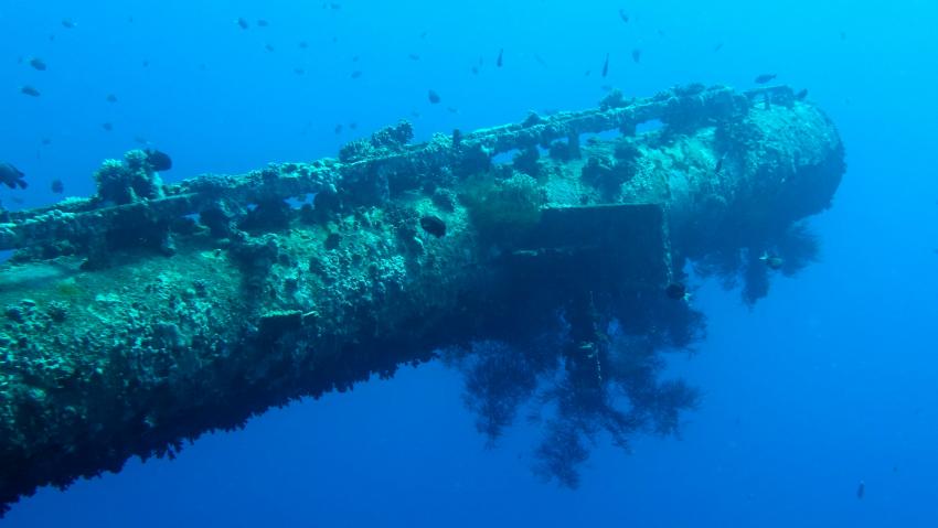 Aqaba International Diving Center, Aqaba, Jordanien