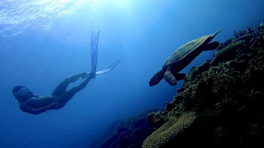 Benthos Divers, Okinawa, Japan, Okinawa