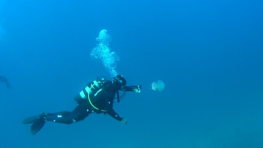 diving.DE Cres, Insel Cres, Kroatien