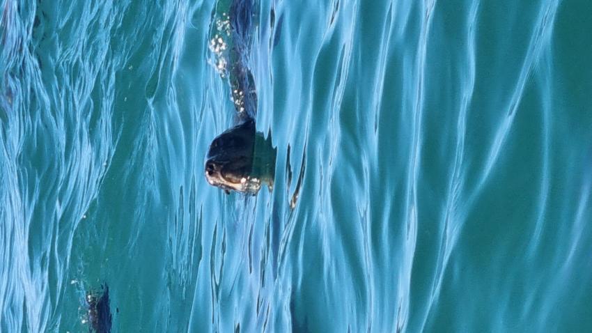 Expert-Tours , Südafrika und die Welt!, Südafrika