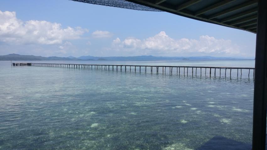 Ausblick vom Restaurant auf den Steg, Yenkoranu Homestay+Diving, Indonesien, Allgemein