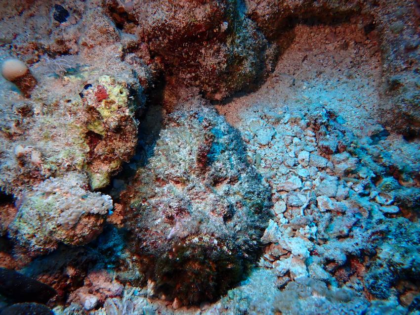 Atlantik Diving Center, Ägypten, El Quseir bis Port Ghalib