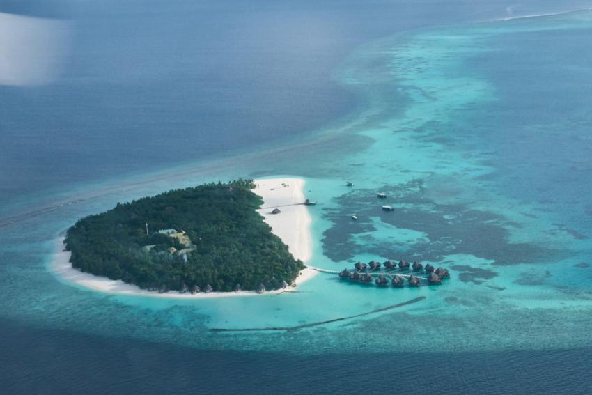 Coco Palm Dhuni Kolhu, Dhoni Kolhu (Coco Palm), Dive Ocean, Malediven