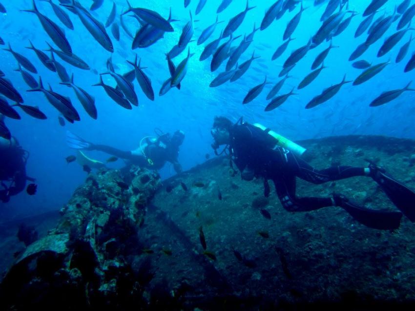 Reef Oasis Dive Club, Sharm el Sheikh, Ägypten, Sinai-Süd bis Nabq
