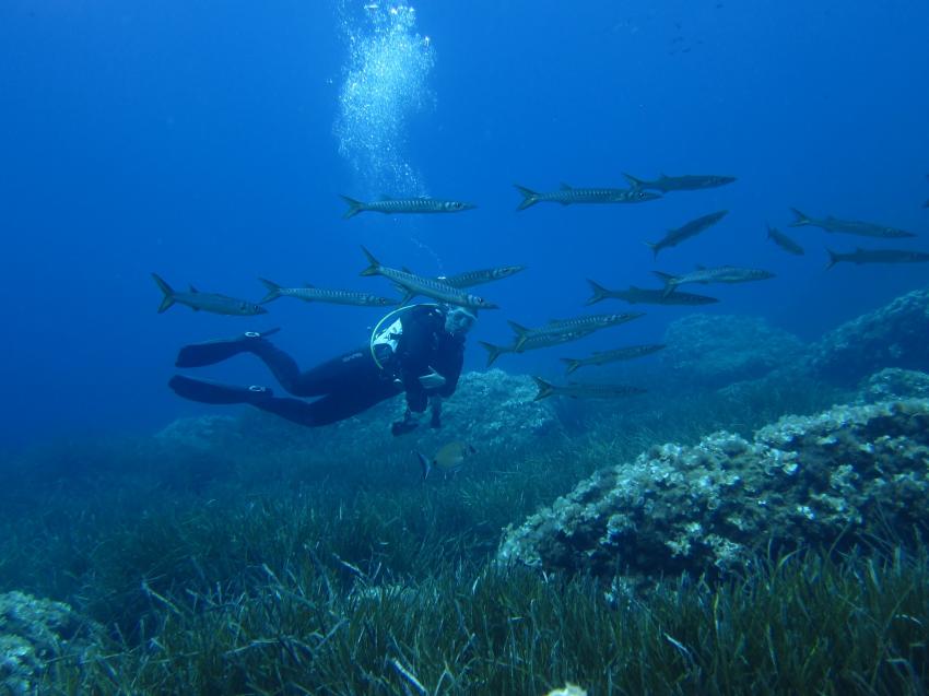 Petro Divers, Porto Petro, Mallorca, Spanien, Balearen