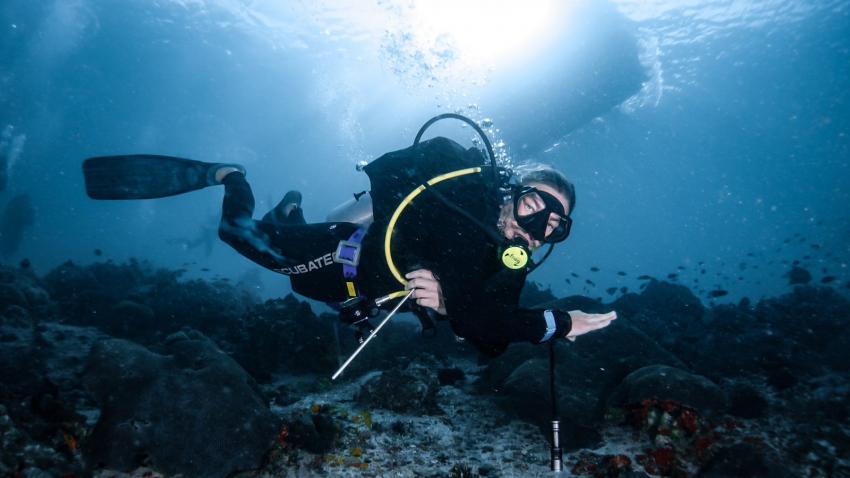 Musandam Discovery Diving, Oman